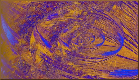 24.01.6.
